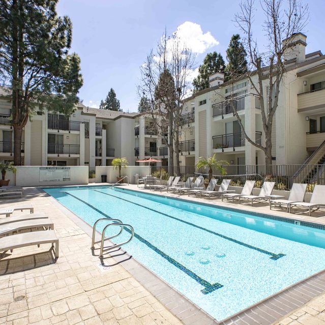 Stoneridge – Sparkling outdoor swimming pool surrounded by white lounge chairs on a light stone deck, framed by tall trees